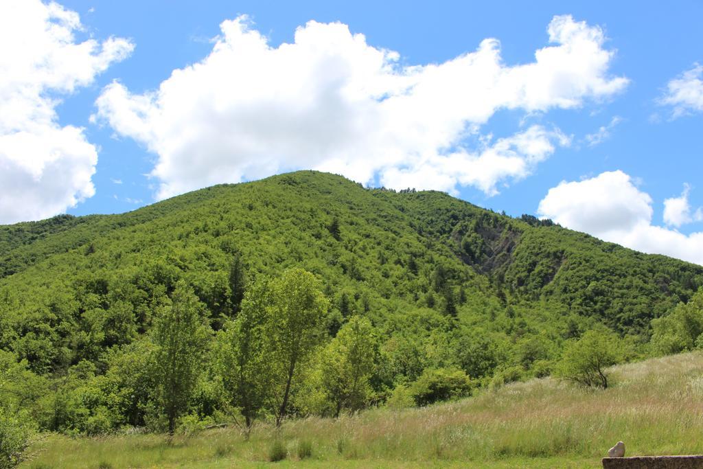 Le Vallon Des Sources Aparthotel Digne-les-Bains Kültér fotó